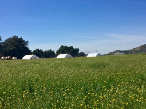 pasturebird mobile range coops