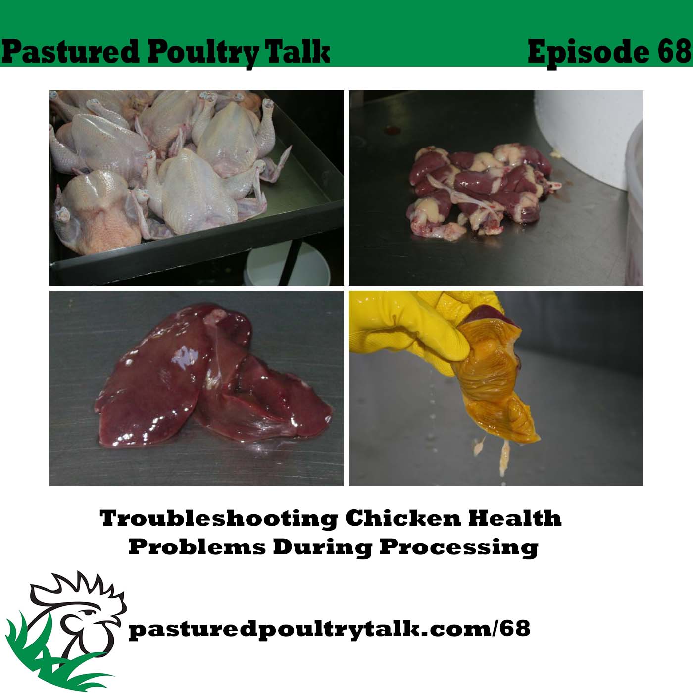 episode art for Pastured Poultry Episode 68 - troubleshooting chicken health problems.