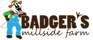 logo of Badger's Millside Farm, a ready-to-lay pullet supplier