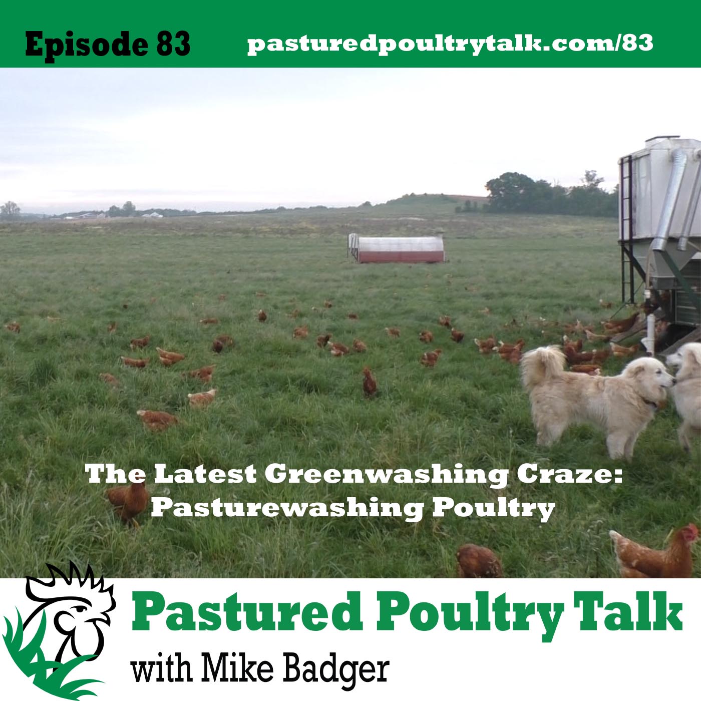 image of pastured poultry talk episode 83 - pasturewashing poultry