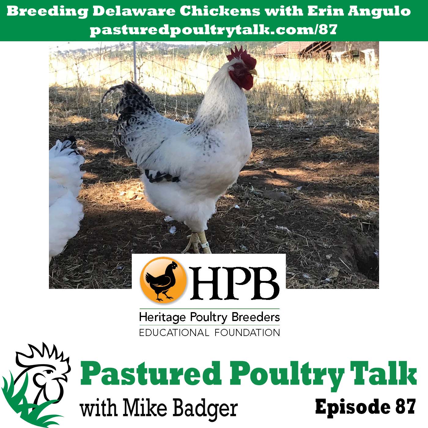 Episode 87 artwork - breeding heritage poultry