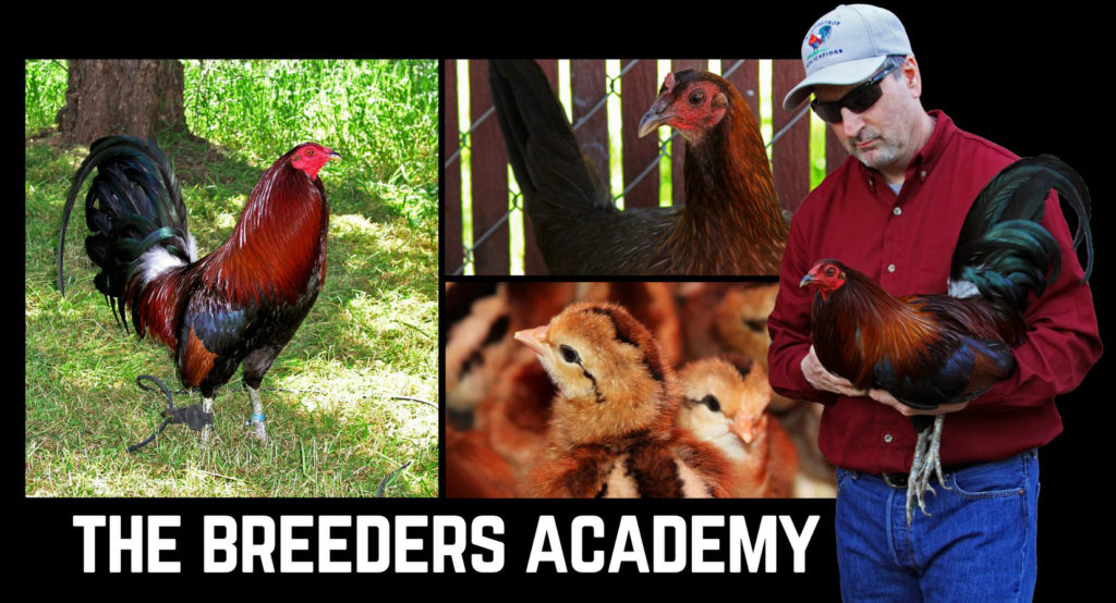 breeders academy image