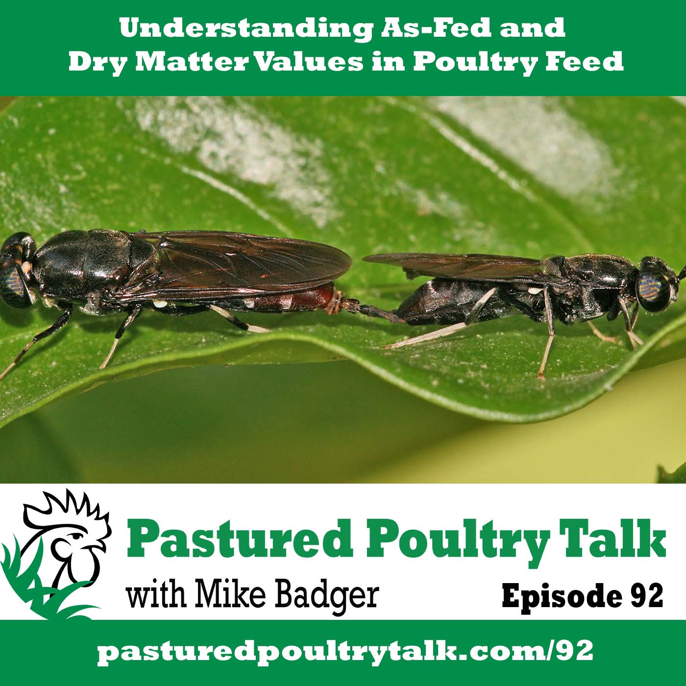 Episode artwork for PPT 092: understanding as-fed and dry matter values