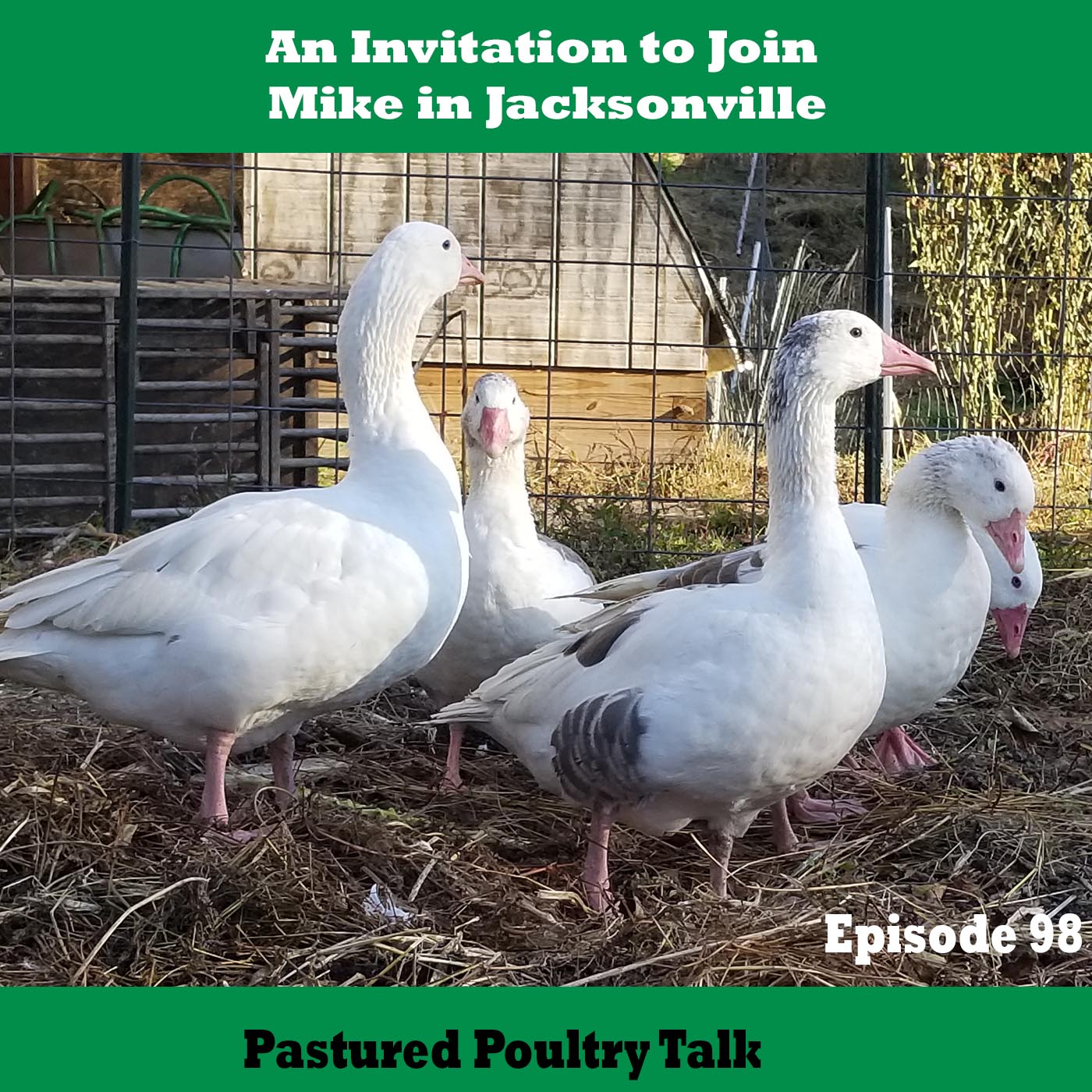 pastured poultry talk 98