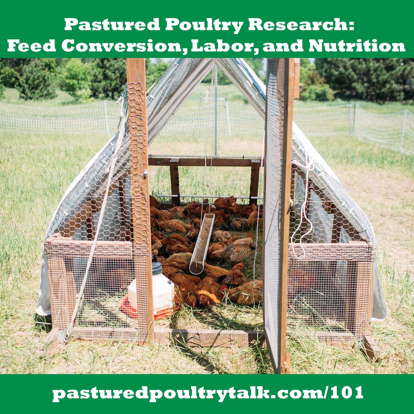 episode 101: pastured poultry research trial