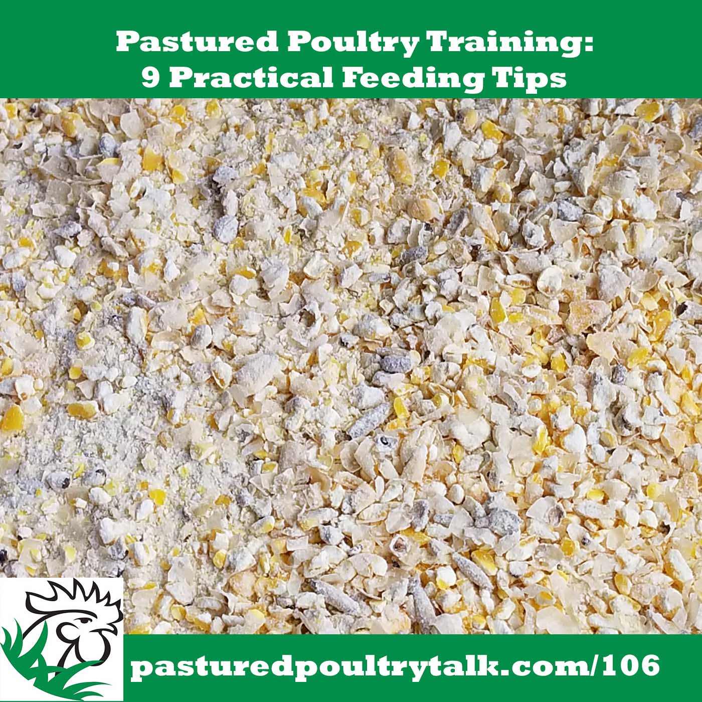 episode art for show 106: 9 practical tips for feeding pastured poultry