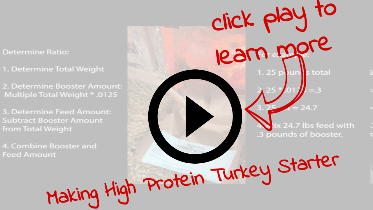 boost turkey feed video