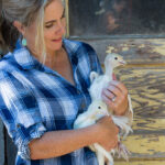 Pastured Poultry Talk