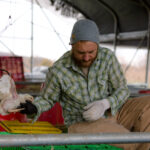 Pastured Poultry Talk