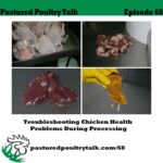 Pastured Poultry Talk