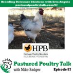 Pastured Poultry Talk