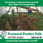 Pastured Poultry Talk