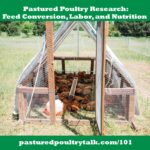 Pastured Poultry Talk