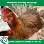 Pastured Poultry Talk