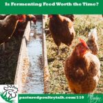 Pastured Poultry Talk